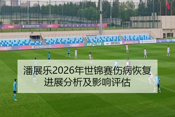 潘展乐2026年世锦赛伤病恢复进展分析及影响评估