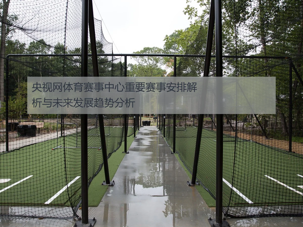 央视网体育赛事中心重要赛事安排解析与未来发展趋势分析